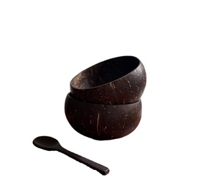 Prix fabricant le moins cher pour bol en coquille de noix de coco écologique fait à la main fabriqué au Viet Nam de haute qualité - Product Image 1