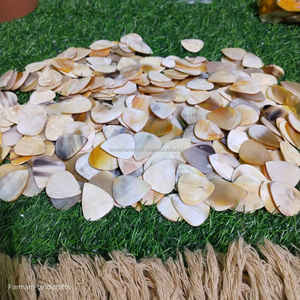 Púa de guitarra hecha a mano de cuerno natural, púa de cuerno de buey premium para músicos a precio económico. - Product Image 6