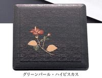 Japanische Bento-Lunchbox für Hotels und Restaurants – Einweg-Speisegeschirr aus Lackware, wiederverwendbare Shokado-Box