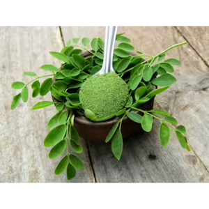 Extrait de Moringa Sauvage Biologique Premium en Poudre, Forme Cristalline Séchée par Pulvérisation, Emballage en Fût, Fournisseur en Gros, Superaliment Naturel - Product Image 1