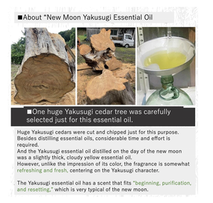 [HECHO en la Isla de Yakushima, Japón] Aceite Esencial de Yakusugi Shingetsu/Luna Nueva 5ml Notas Amaderadas y Frescas - Product Image 2