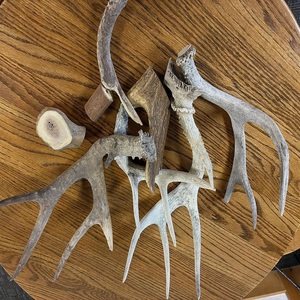 Compre Astas de Ciervo Rojo Enteras de Primera Calidad, Cápsulas de Extracto de Astas de Ciervo de Cola Blanca, Soporte Natural y Orgánico para la Fuerza - Product Image 1