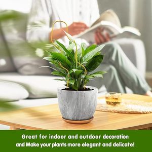 Poste de musgo curvo de metal dorado para Monstera y plantas trepadoras con 10 ataduras verdes - Product Image 3