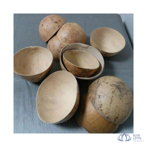 [BEST PRICE] Bol en coquille de gourde écologique, design bohème, vaisselle de camping, plat de service du Vietnam - Product Image 1