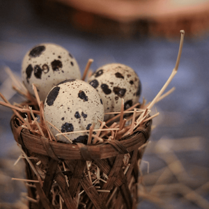 Huevos de Codorniz Enlatados Premium para Fiestas, Ecológicos, Nutritivos, Listos para Usar, 24 Meses de Caducidad, 30 Unidades, Marca Viet Delta - Product Image 2