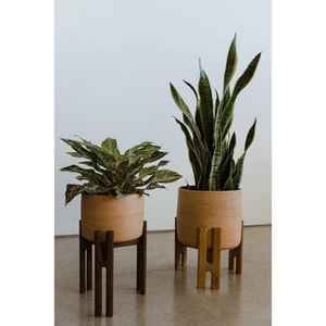 Support à plantes minimaliste en bois, étagère à pots de fleurs, support à plusieurs niveaux pour l'intérieur et l'extérieur, support de présentation de plantes en bois naturel pour la maison et le jardin - Product Image 2