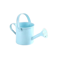 Arrosoir en métal pour jardinage, finition galvanisée durable, couleur vert lime, bec long, acier inoxydable, capacité 1,5 L