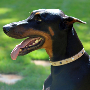 Collar de Perro de Cuero Napa Suave Color Marfil, Collar de Perro de Lujo Hecho a Mano con Acolchado Suave y Herrajes Resistentes y Duraderos - Product Image 2