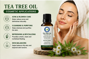 Hot Selling 1 KG 100% Pure Natural <b>Tea</b> Tree Essential Oil - Premium Quality Bulk Supply for Skincare & Aromatherapy Formulations - Product Image 6
