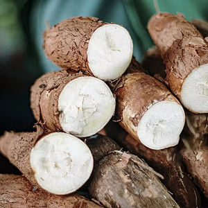 แป้งมันสำปะหลังเวียดนามคุณภาพดี ราคาถูก บริสุทธิ์ อเนกประสงค์ ดีต่อสุขภาพ เหมาะสำหรับการแปรรูปอาหารและการส่งออก - Product Image 1