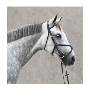 Bride de cheval en nylon réglable Durable imperméable Bio PVC enduit de style occidental équestre rouge pour l'équitation et la course - Product Image 5