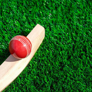 RX Ballon de cricket rouge personnalisable de qualité supérieure, taille 4, cousu main, double couture, durable et léger pour les crickets - Product Image 4