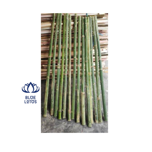 Poste de Bambú Dividido en Dos Mitades con Cuerpo Recto, Directo de Fábrica - Product Image 1