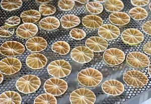 Rodajas de limón deshidratadas de larga duración y cítricos secos envasados al vacío para venta al por mayor y tamaño uniforme - Product Image 4