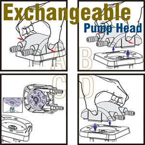 ปั๊มน้ำสะอาดแรงดันต่ำฝาครอบมิลลิลิตร/นาที1000 24โวลต์พร้อมหัวปั๊มแบบเปลี่ยนได้ Santoprene 271-73 - Product Image 2