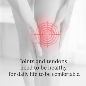 Chewable Acetyl Glucosamine NAG Joint Support Cartilage Care Supplement <b>Tablet</b> MSM Boswellia - Product Image 2