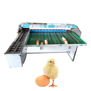 <b>Egg</b> Sorter Machine <b>Egg</b> Cleaning and Grading Industrial <b>Egg</b> Grading Machine for Chicken Farm - Product Image 1