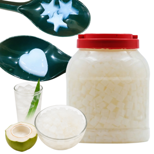 Cubes de Nata de Coco Halal en vrac, fruités et nutritifs, fabriqués au Vietnam (rivière du Mé Kong) pour Bubble Tea, yaourt et crème glacée - Product Image 1