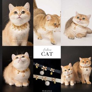 <b>Cat</b> and Dogs <b>Collars</b> petcollection highqualitycollars giftforpets sustainablecollars colorfulcollars petfancy petchic dogjewelry - Product Image 2