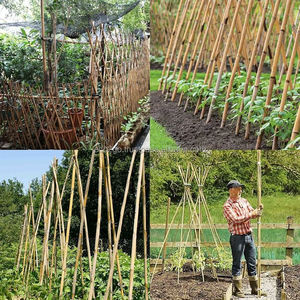 Cheap Price High Quality Bamboo Sticks for <b>Garden</b> & Outdoor Camping 100% Natural Bamboo Eco-Friendly Eco2go Vietnam - Product Image 6