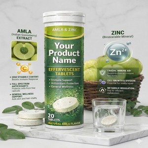 Comprimés effervescents aromatisés à l'Amla, inspirés du zinc, pour boisson gazeuse rafraîchissante instantanée, pack de 20 comprimés - Product Image 4