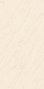 Vente directe usine : Carreaux de sol en granit super poli 600x1200mm pour WC et urinoirs. - Product Image 2