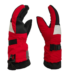 Cold-Proof Waterproof Winter <b>Ski</b> Gloves Velveteen-Thickened Warm Cycling Gloves for Outdoor Sports Safety Gloves for Skiing - Product Image 6