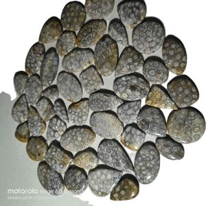 Piedras de Coral Natural de Alta Calidad al por Mayor para la Fabricación de Joyas, Forma Mixta, 20-45 mm, 8-12 g, Certificadas por Terceros - Product Image 2