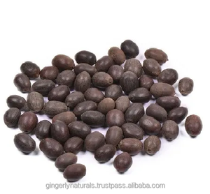 Tốt nhất xuất khẩu Nelumbo Nucifera hạt giống trong số lượng lớn từ Ấn Độ - Product Image 3