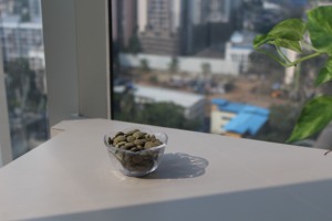Poudre de feuilles de Moringa pure, moulue finement, superaliment vert, ingrédient végétal naturel pour les acheteurs en gros - Product Image 6