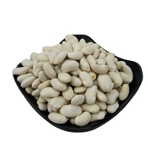 Venta al por Mayor de Frijoles Blancos de Primera Calidad, Gran Tamaño para Exportación, Naturales y de la Más Alta Calidad - Product Image 5
