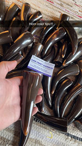 Punta de Cuerno de Búfalo Natural, Color Natural, Alta Calidad - Product Image 6