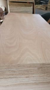 Contrachapado Comercial Bintangor/Okoume con Núcleo de Acacia, E2, Grosor de 5-24 mm, 1220x2440 mm - Product Image 4