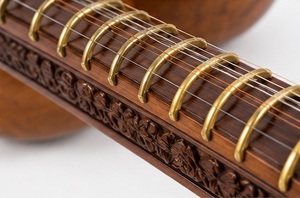 Dagar Style RudraVeena, instrument à cordes classique indien traditionnel avec double résonateur en gourde pour la performance musicale Dhrupad - Product Image 5