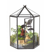 Terarium rumah kaca logam kualitas tinggi terarium rumah kaca sukulen dengan tutup rumah terarium hijau