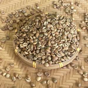 High Quality Robusta Coffee <b>Beans</b> Grade 1 Good Price Vietnam Robusta Coffee <b>Beans</b> Honey Clean Process High Ripeness Rate - Product Image 2