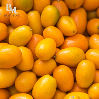 Sirop de Kumquat et Citron Bosmos 2,5 kg Certifié Halal Ingrédients Concentrés pour Bubble Tea Liquide Aromatisé aux Fruits 6 Bouteilles par Carton