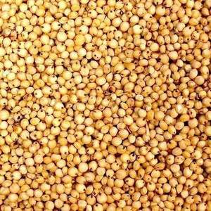 Semillas de Sorgo de Alta Calidad, Suministro a Granel, Precio Directo de Fábrica para Alimentación Animal, Consumo Humano y Elaboración de Cerveza a un Precio Competitivo - Product Image 1