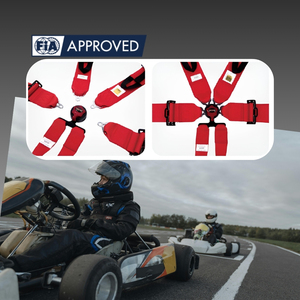 Cinturón de Seguridad de 6 Puntos TBRACING ECO-D con Certificación FIA 8853-2016 para Vehículos de Competición, Disponible en 16 Colores - Product Image 1