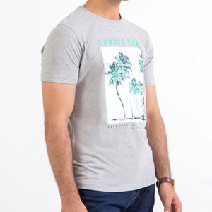 Camiseta de Lona Oversize para Hombre con Estampado de Pantalla, Logotipo Personalizado Premium, Casual, Antiarrugas, 100% Algodón Transpirable, Venta al por Mayor para Verano - Product Image 2