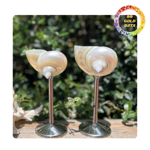 Verre à vin en coquillage, fait main, en coquille naturelle, pour vin, cocktails et décoration de maison de style côtier, vente en gros - Product Image 3