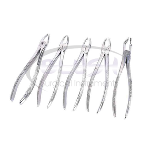 Reusable Stainless Steel Dental Surgical Instruments Manual Tooth Extracting Forceps Instrument CE Certified By <b>Blush</b> Surgical - Product Image 2