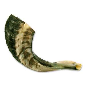 Shofar en corne de bélier poli, design unique, artisanat intemporel, casher, par Peer Hastam - Fait main, étanche, avec guide et spray anti-odeur - Product Image 1