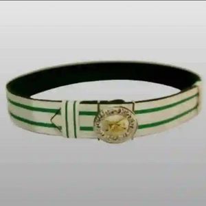 Ce ceinture de cérémonie présente une sangle tressée argentée accentuée par deux rayures vertes distinctes. Ceinture Stable. - Product Image 1