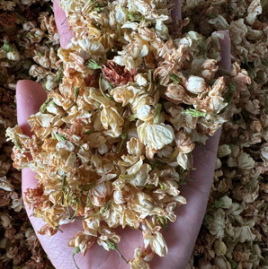 Bourgeons de jasmin séchés naturels pour l'artisanat DIY et les bijoux en résine, véritable matière florale pressée - Product Image 4