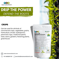 Micro-organismes bénéfiques du sol pour une agriculture durable et une performance racinaire améliorée