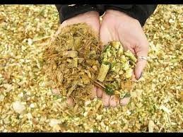 Nuevo Cultivo de repollo secado al aire de buena calidad de Vietnam - Product Image 6