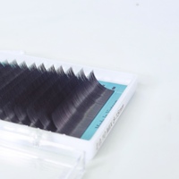 Extensions de cils Mega Volume Marque Privée 0.03-0.15mm Fibre PBT Coréenne Faites à la Main Naturelles Longues Épaisses Haute Qualité