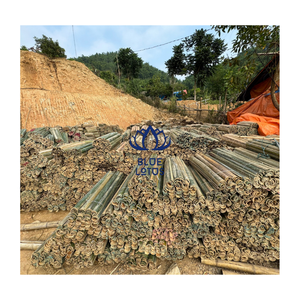 Tubo de Bambú Fresco de Vietnam, Mitad de Tallo, Precio Competitivo de Exportación - Product Image 1