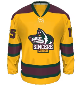 Vente en gros de sweats à capuche personnalisés à manches longues en polaire pour le hockey sur glace, tissu polyester, sublimation, sweats à capuche pour le hockey sur glace, uniforme de hockey, 280g - Product Image 2